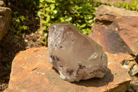 Natural Extra Large Smokey Quartz Floater Crystal With Polished Termination x 1 From Melanje, Malawi - TopRock