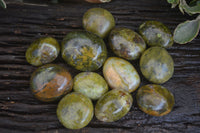 Polished Green Opal Palm Stones  x 12 From Antsirabe, Madagascar - Toprock Gemstones and Minerals 