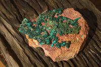 Natural Extra Large Emerald Dioptase Crystal Specimen  x 1 From Likasi, Congo