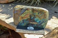 Polished Labradorite Standing Free Forms With Intense Blue & Gold Flash x 3 From Sakoany, Madagascar - TopRock