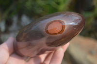 Polished Polychrome Jasper Standing Free Forms  x 3 From Mahajanga, Madagascar