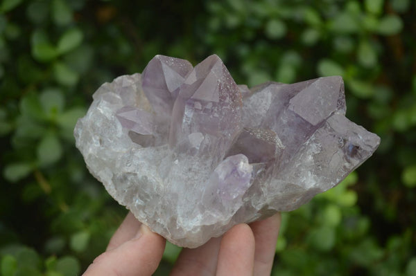 Natural Jacaranda Amethyst Clusters x 2 From Zambia