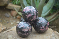 Polished Pink & Black Rhodonite Spheres  x 4 From Madagascar - Toprock Gemstones and Minerals 