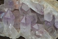 Natural Jacaranda Amethyst Clusters x 2 From Zambia