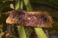 Natural Dark "Amethystos" Amethyst Crystal Plates  x 6 From Kwaggafontein, South Africa - Toprock Gemstones and Minerals 