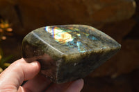 Polished Labradorite Standing Free Forms With Intense Blue & Gold Flash x 3 From Sakoany, Madagascar - TopRock