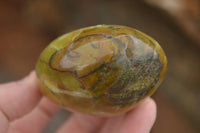 Polished Green Opal Palm Stones  x 6 From Madagascar - TopRock