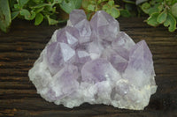 Natural Large Jacaranda Amethyst Crystal Cluster  x 1 From Mumbwa, Zambia - Toprock Gemstones and Minerals 