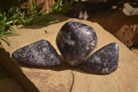 Polished Purple Lepidolite Free Forms  x 3 From Zimbabwe - Toprock Gemstones and Minerals 