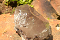 Natural Extra Large Smokey Quartz Floater Crystal With Polished Termination x 1 From Melanje, Malawi - TopRock