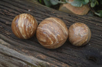 Polished  Chocolate Swirl Aragonite Spheres  x 3 From Antsirabe, Madagascar