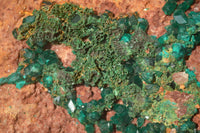 Natural Extra Large Emerald Dioptase Crystal Specimen  x 1 From Likasi, Congo