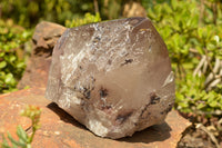 Natural Extra Large Smokey Quartz Floater Crystal With Polished Termination x 1 From Melanje, Malawi - TopRock