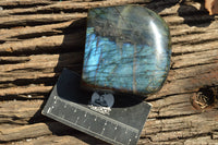 Polished Labradorite Standing Free Forms With Intense Blue & Gold Flash x 3 From Sakoany, Madagascar - TopRock