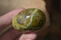 Polished Green Opal Palm Stones  x 12 From Antsirabe, Madagascar - Toprock Gemstones and Minerals 