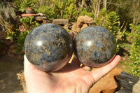 Polished Iolite Water Sapphire Spheres x 2 From Madagascar - TopRock