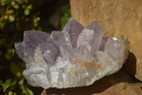 Natural Jacaranda Amethyst Clusters x 2 From Zambia