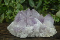 Natural Large Jacaranda Amethyst Crystal Cluster  x 1 From Mumbwa, Zambia - Toprock Gemstones and Minerals 