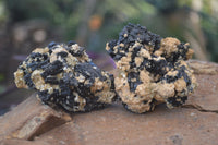 Natural Schorl Black Tourmaline Specimens x 12 From Erongo, Namibia