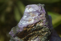 Natural Rough Stichtite & Serpentine Specimens x 4 From Barberton, South Africa