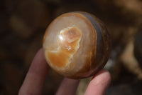 Polished  Chocolate Swirl Aragonite Spheres  x 3 From Antsirabe, Madagascar