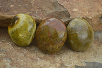 Polished Green Opal Palm Stones  x 6 From Madagascar - TopRock