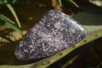 Polished Purple Lepidolite Free Forms  x 3 From Zimbabwe - Toprock Gemstones and Minerals 