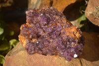 Natural Dark "Amethystos" Amethyst Crystal Plates  x 6 From Kwaggafontein, South Africa - Toprock Gemstones and Minerals 