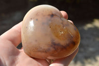 Polished Translucent Agate Hearts (Some Dendritic Features) x 6 From Madagascar - TopRock