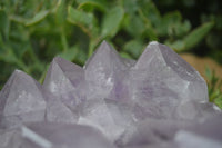 Natural Large Jacaranda Amethyst Crystal Cluster  x 1 From Mumbwa, Zambia - Toprock Gemstones and Minerals 