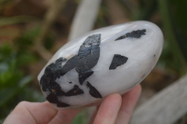 Polished Tourmalinated Quartz Standing Free Forms  x 4 From Namibia - TopRock