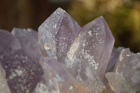 Natural Jacaranda Amethyst Clusters x 2 From Zambia