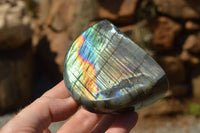 Polished Labradorite Standing Free Forms With Intense Blue & Gold Flash x 3 From Sakoany, Madagascar - TopRock