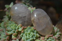 Polished Blue Rose Quartz Galet-Palm Stones x 27 From Madagascar