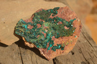 Natural Extra Large Emerald Dioptase Crystal Specimen  x 1 From Likasi, Congo