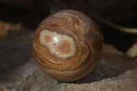 Polished  Chocolate Swirl Aragonite Spheres  x 3 From Antsirabe, Madagascar