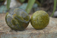 Polished Green Opal Palm Stones  x 12 From Antsirabe, Madagascar - Toprock Gemstones and Minerals 