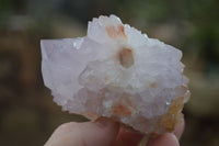 Natural Spirit Cactus Flower Quartz Clusters x 6 From Boekenhouthoek, South Africa