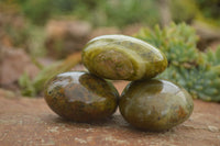 Polished Green Opal Palm Stones  x 6 From Madagascar - TopRock