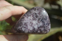 Polished Purple Lepidolite Free Forms  x 3 From Zimbabwe - Toprock Gemstones and Minerals 