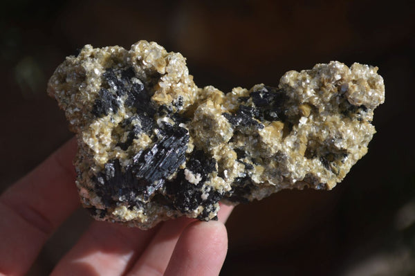 Natural Schorl Black Tourmaline Specimens x 12 From Erongo, Namibia