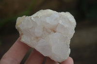 Natural Spirit Cactus Flower Quartz Clusters x 6 From Boekenhouthoek, South Africa