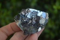 Natural Rare Silver Lead Galena Specimens  x 8 From Namibia - Toprock Gemstones and Minerals 