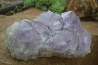 Natural Large Jacaranda Amethyst Crystal Cluster  x 1 From Mumbwa, Zambia - Toprock Gemstones and Minerals 