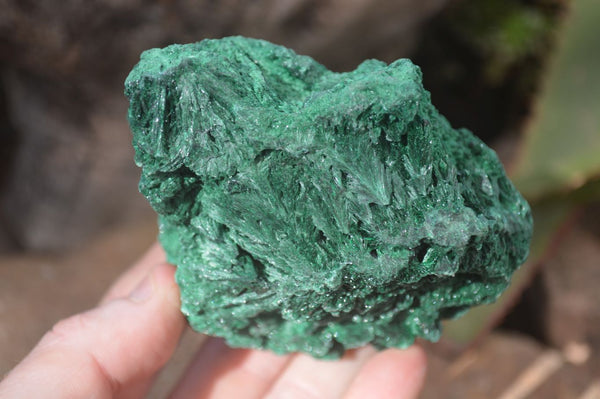 Natural Chatoyant Silky Malachite Specimens x 2 From Kasompe, Congo