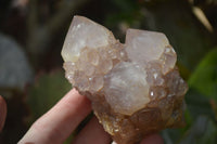 Natural Mixed Spirit Amethyst Quartz Clusters  x 6 From Boekenhouthoek, South Africa - Toprock Gemstones and Minerals 