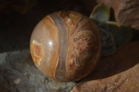 Polished  Chocolate Swirl Aragonite Spheres  x 3 From Antsirabe, Madagascar