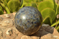 Polished Iolite Water Sapphire Spheres x 2 From Madagascar - TopRock