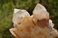 Polished Classic Red Hematoid Quartz Specimens  x 2 From Karoi, Zimbabwe - TopRock