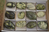 Polished Spotted Leopard Stone Gallets  x 12 From Zimbabwe